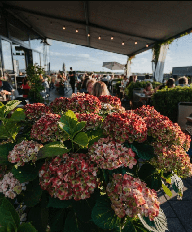 Rooftop Bars In Munich Die Küche im Kraftwerk