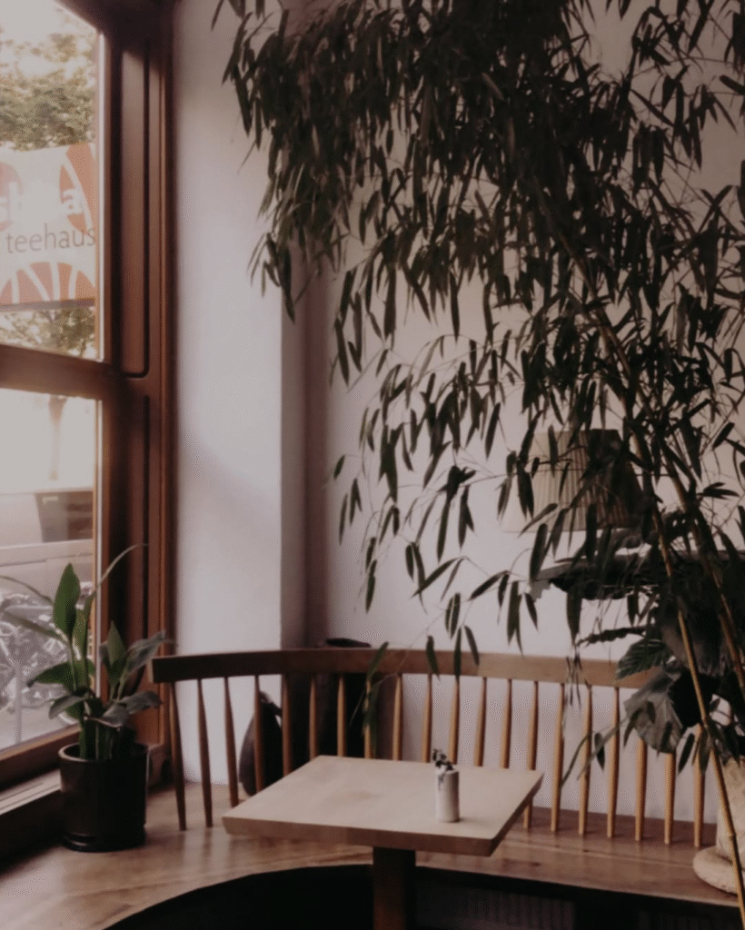 Best-munich-cafes-to-stare-Tushita-Teehaus